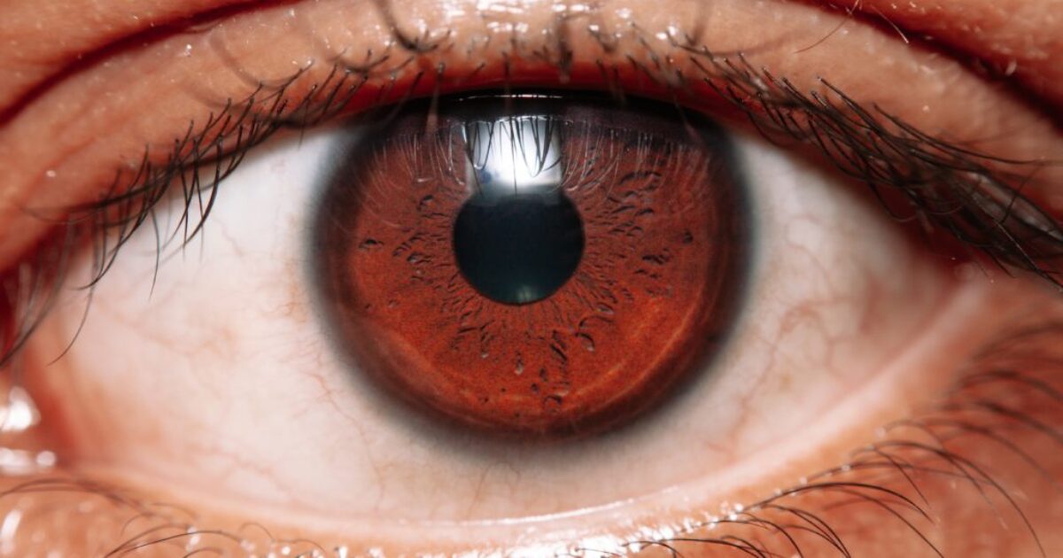 Social Distancing and Public Transport for People with Sight Loss