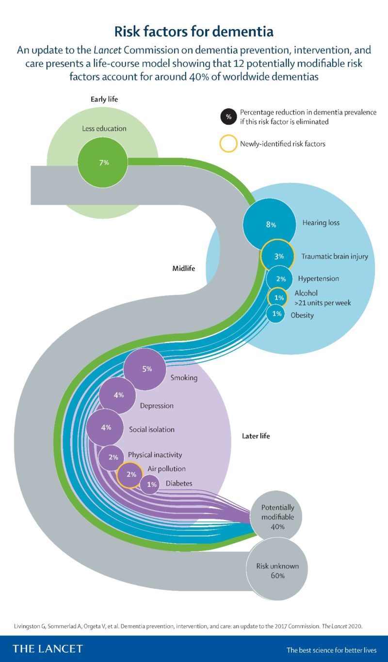 diagram showing risk factors for dementia