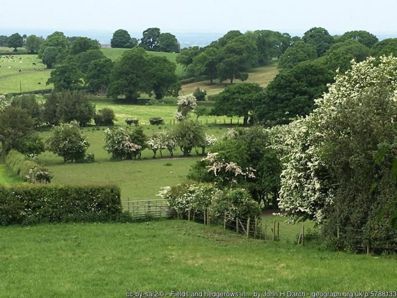 Photograph shows fields and hedgerows