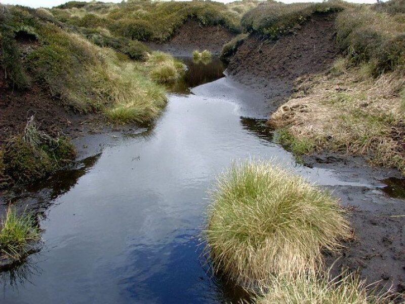 Photograph shows a peat bog. Used under <a href="https://creativecommons.org/licenses/by-sa/2.5/deed.en" rel="noopener" target="_blank">(license)</a> Photo by <a href="https://www.geograph.org.uk/profile/446" rel="noopener" target="_blank">Stephen Burton </a>